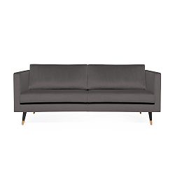 Šedá třímístná pohovka s mosaznými nohami Vivonita Meyer Velvet