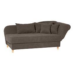 Šedohnědá lenoška se sedem na levé straně Max Winzer Selma