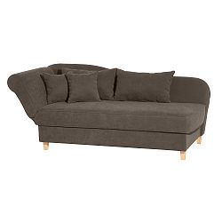 Šedohnědá lenoška se sedem na pravé straně Max Winzer Selma