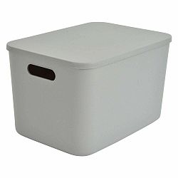 Světle zelený plastový úložný box s víkem 35,5x25,5x16 cm – Homéa