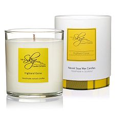 Svíčka s vůní borovice, cedrového dřeva a jantaru Skye Candles Tumbler, délka hoření 45 hodin