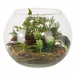 Umělý sukulent (výška 15 cm) Fiori – Premier Housewares