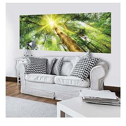 Velkoformátová nástěnná tapeta Vavex Sunlight, 250 x 104 cm