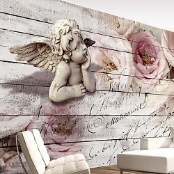 Velkoformátová tapeta Artgeist Angel And Calm, 350 x 245 cm