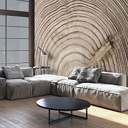 Velkoformátová tapeta Bimago Wood Grainl, 400 x 280 cm