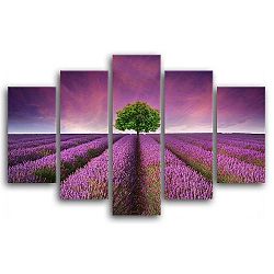 Vícedílný obraz Styler Canvas Lawenda Field, 100 x 150 cm