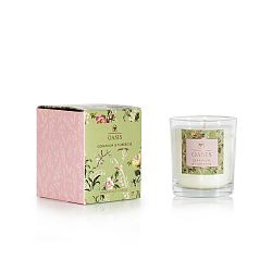 Vonná svíčka s vůni pelargónie a tuberózy Bahoma London Oasis Leighton, 55 hodin hoření