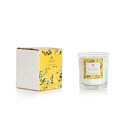 Vonná svíčka s vůni vetiveru a kosatce Bahoma London Oasis Leighton, 55 hodin hoření