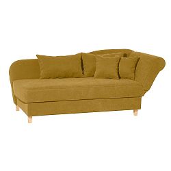 Žlutá lenoška se sedem na levé straně Max Winzer Selma