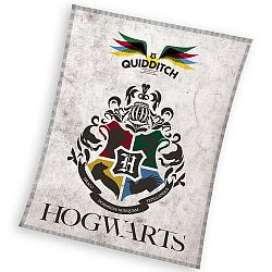 Carbotex Dětská deka Harry Potter Famfrpál , 130 x 170 cm