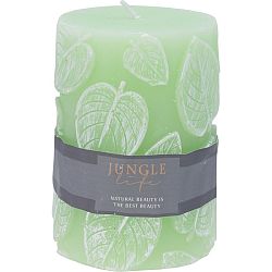 Dekorativní svíčka Jungle life světle zelená, 7 x 10 cm