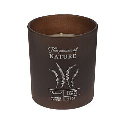 Svíčka ve skle The power of nature Tinted leaves, 10 x 8,8 cm