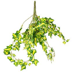 Umělý Břečťan závěsná dekorativní umělá rostlina, v. 50 cm