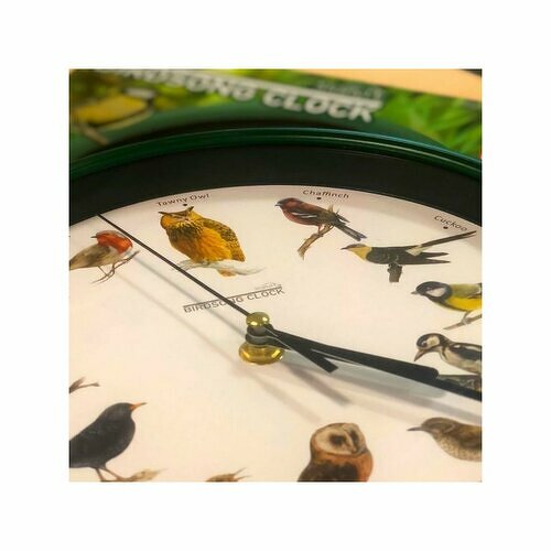 Mediashop Starlyf Birdsong nástěnné hodiny Mediashop Starlyf Birdsong nástěnné hodiny